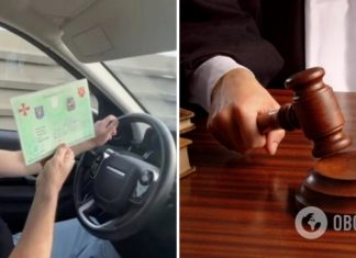 Полиция начала производство по подделке пропуска Виктора Павлика