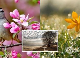 Потепление пока не ожидается: синоптики дали прогноз погоды на среду, 10 мая