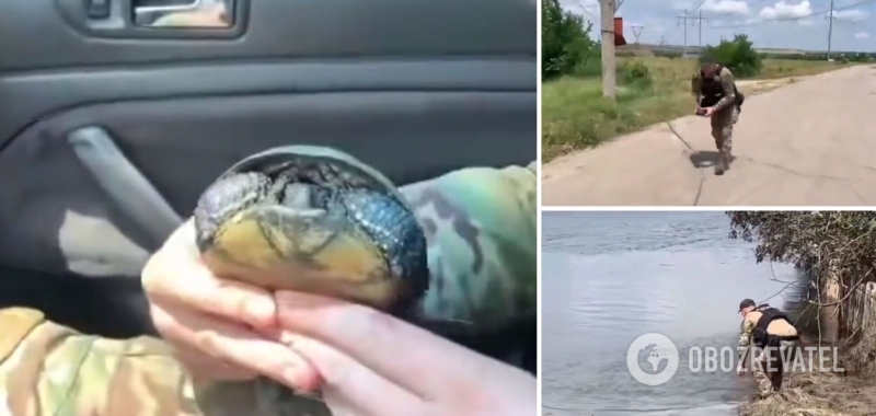 Операция ''Эвакуация'': полицейский в Херсонской области спас черепаху. Трогательное видео