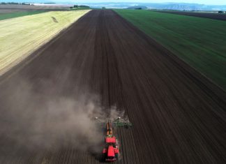 Россия заняла 17-е место в мире по экспорту продовольствия