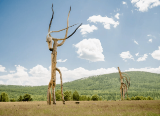 Фестиваль «Тужи Арт» пройдет 5 и 6 августа в Забайкальском крае