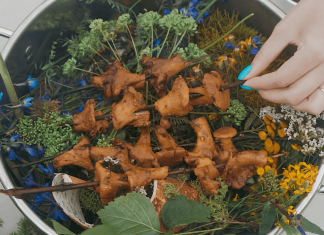 Кулинарные фестивали лета — 2023