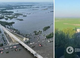 Как футбольное поле: Каховское водохранилище после обмеления позеленело. Видео