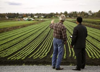 Применение интеллектуальных решений в сельском хозяйстве: недооцененный потенциал для роста и улучшения эффективности в агробизнесе