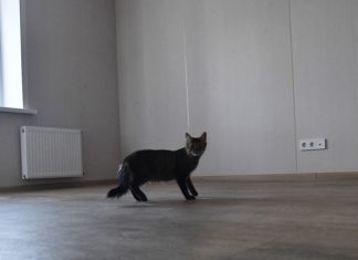 Минфин предложил уменьшить максимальный размер ипотечного кредита