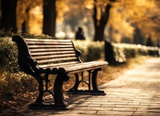 Как выбрать идеальную уличную скамейку для парка — разновидности и правила выбора