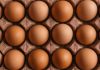 Минсельхоз РФ: цены на куриные яйца в торговых сетях снизятся в ближайшее время