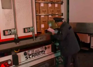 В Россию поставили 19 тонн куриных яиц из Турции