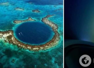 В глубочайшей точке океана обнаружили след человечества: находка поразила исследователей