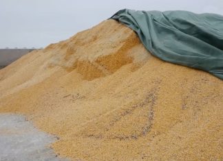 Аграрный министр Украины Сольский: ограничение поставок продовольствия в ЕС затягивает войну