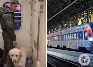 Украинскому военному пришлось три часа стоять в тамбуре поезда из-за служебной собаки: в «УЗ» отреагировали на скандал