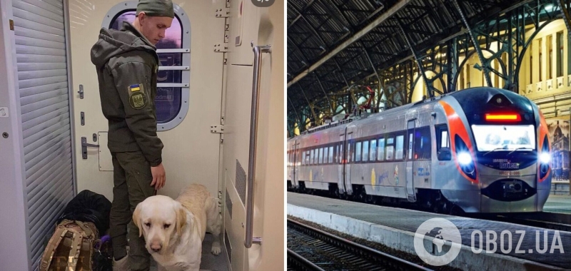 Украинскому военному пришлось три часа стоять в тамбуре поезда из-за служебной собаки: в "УЗ" отреагировали на скандал