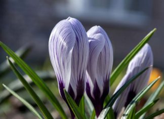 В Украину врывается аномальная температура: в каких областях будет по-летнему тепло