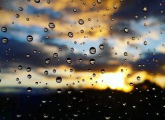 Часть Украины накроют дожди с грозами: где прогнозируют непогоду 29 апреля