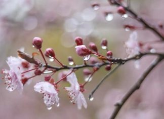 Дожди отступят, но ненадолго: синоптики дали прогноз на начало недели в Украине. Карта