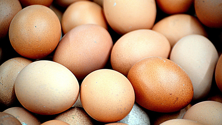 ФАС начала проверки цен на яйца в ретейле