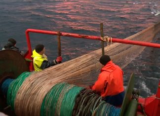 География экспорта российской рыбы увеличилась на 18 стран