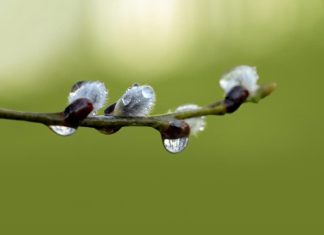 Придут атмосферные фронты: когда в Украине ждать порцию осадков