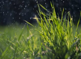 В начале лета Украину накроют не только проливные ливни: синоптик уточнил прогноз