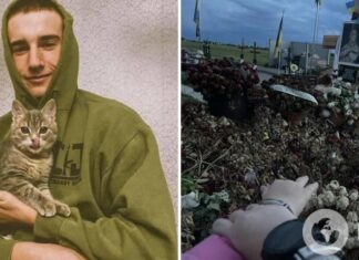 В Виннице из могилы самого младшего защитника «Азовстали» украли игрушку, которую он получил в подарок в детстве