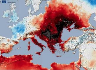 Сегодня пик жары: синоптик рассказала, что не пускает в Украину прохладный воздух