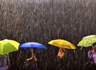 Завтра в Украине много дождей, но не везде: в каких областях будет сухо