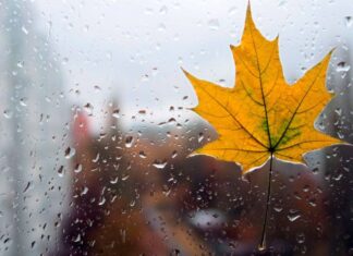 Три области Украины накроют ливни с грозами — в какие дни ждать непогоды