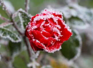 В Украину идут осенние дожди и заморозки: в четырех областях температура опустится ниже нуля
