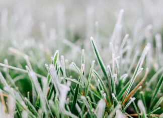 «Лето закончилось», — синоптик рассказала, где в Украине в ближайшие дни будут дожди и заморозки