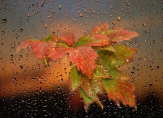 В Украину в воскресенье ворвется циклон Finny – дожди обойдут стороной только два региона