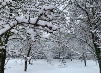 Погода в Украине в декабре: метеоролог рассказал, когда ждать вторжения холодного арктического воздуха