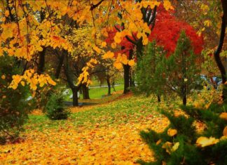 Два дня почти летнего тепла: в трех регионах Украины резко повысится температура