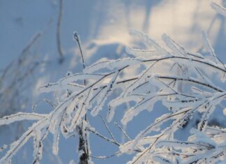 Волна холода из Арктики идет в Украину: синоптик рассказал, когда ждать мороз до –10°C