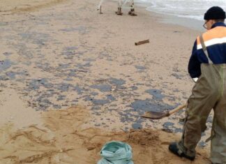 Мазут с затонувших танкеров РФ начал заливать пляжи Севастополя — оккупанты бьют тревогу