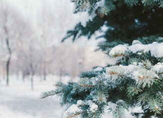 Сугробы до 30 см: синоптик рассказал, когда Украину начнет заметать