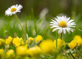 Похолодание будет недолгим: синоптик назвал дату резкого потепления в Украине