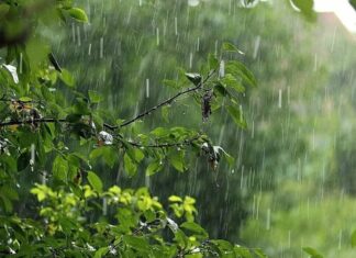 В Украину идут дожди: в двух областях ожидаются ливни и шквалы — названа дата непогоды
