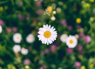 Май не радует теплом: как долго в Украине продержится холодная погода