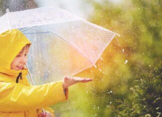 Аномалии июня: какие регионы Украины накроет жара с первых дней лета, а где продолжатся дожди