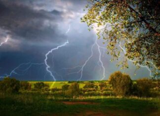 Синоптик дала «приятный» прогноз по Украине на воскресенье и рассказала, где ждать дождей