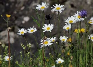 На Украину надвигается «адская жара», которая обойдет только одну часть страны
