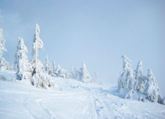 Один из регионов завалило снегом по колено: украинцев предупредили об опасности