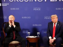 28 шагов к капитуляции: депутат Рады опубликовал «мирный» план Трампа