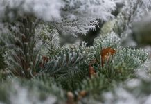 Украину после Рождества накроют атмосферные фронты: в каких областях снега будет больше всего