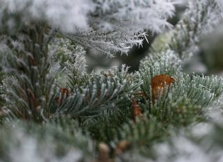 Украину после Рождества накроют атмосферные фронты: в каких областях снега будет больше всего