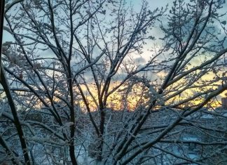 Украину ждет одна из самых морозных недель зимы: в каких областях будет холоднее всего