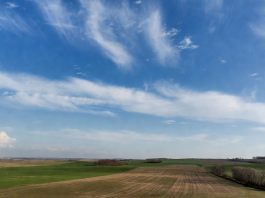 Весна с контрастами: синоптик рассказал о погоде до конца марта и сообщил, чего ждать в апреле и мае