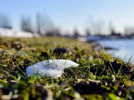 Весна усиливается: синоптическая картина порадует украинцев в ближайшие дни