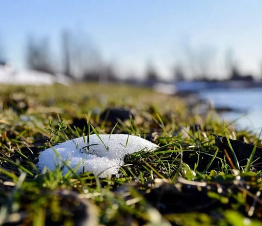 Весна усиливается: синоптическая картина порадует украинцев в ближайшие дни