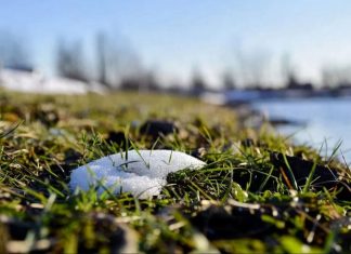 В Украину врывается настоящая весна: температура воздуха удивит в ближайшие дни